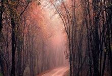 布倫特福德續約中場大將奧涅卡至2027！.