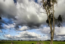 jinnianhui金年会首页：西甲第26輪巴列卡諾0-1皇家馬德裏 維尼修斯助攻本澤馬破門.