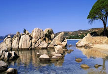 金年会体育官网入口：諾伊爾在韓媒采訪中表示：有金玟哉在場，我非常穩定和安心.